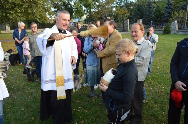 Nabożeństwo z udziałem czworonogów