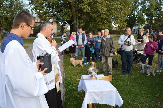 Nabożeństwo z udziałem czworonogów