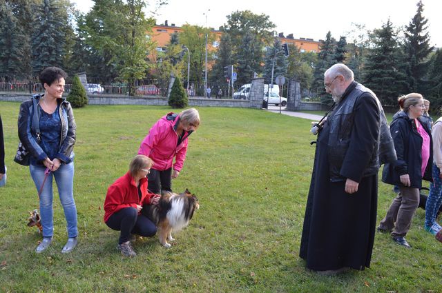 Nabożeństwo z udziałem czworonogów