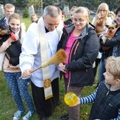 Nabożeństwo z udziałem czworonogów