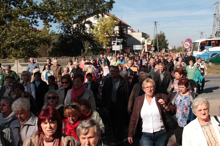 Róże Różańcowe w Domaniewicach - Pielgrzymka 