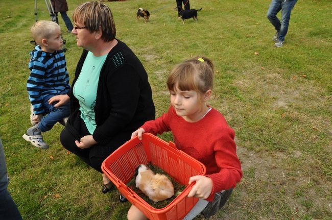 Błogosławieństwo zwierząt w Manowie