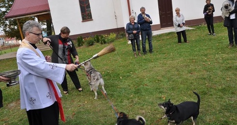 Błogosławieństwo zwierząt w Manowie