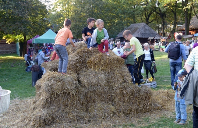 Festiwal Ziemniaka w radomskim skansenie