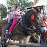 Msza św. Franciszka w Lutomii