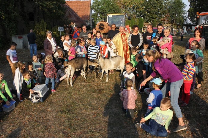 Msza św. Franciszka w Lutomii