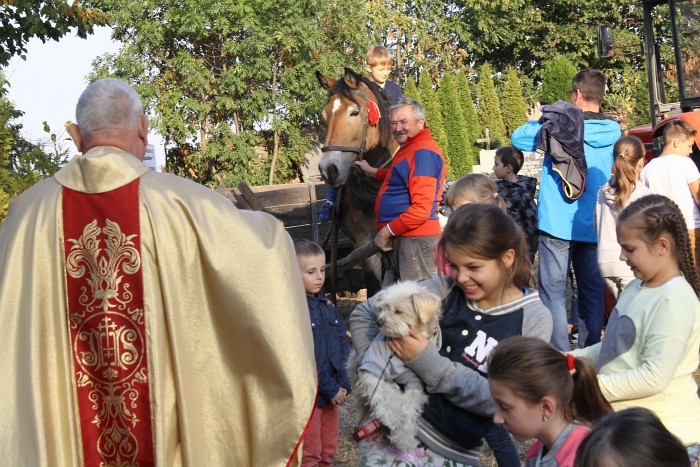 Msza św. Franciszka w Lutomii