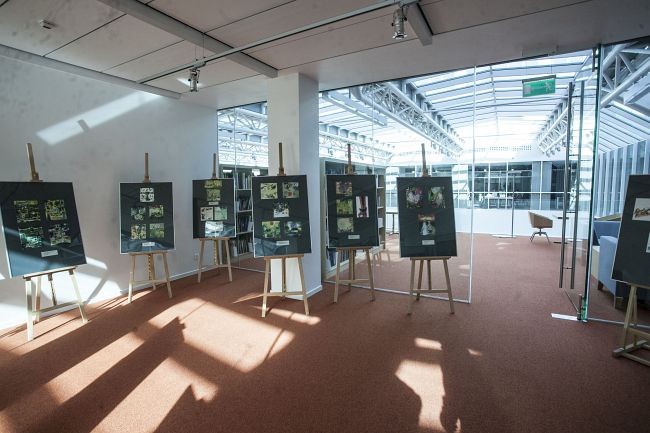 Nie poznacie biblioteki przy Koszykowej