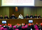 Polscy biskupi o pierwszym etapie synodu