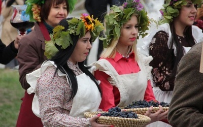 Największa winnica w Polsce