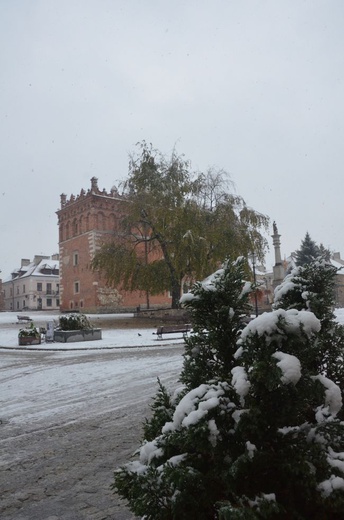 Pierwszy śnieg