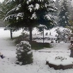 Pierwszy śnieg: zdjęcia czytelników