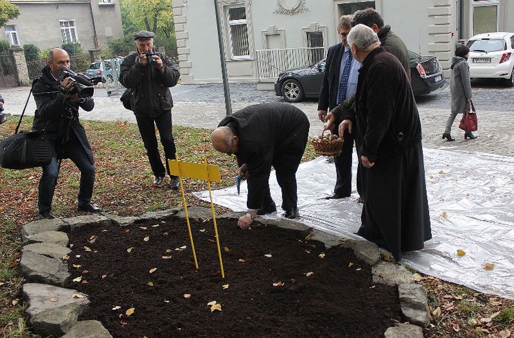 12. edycja Pól Nadziei w Bielsku-Białej