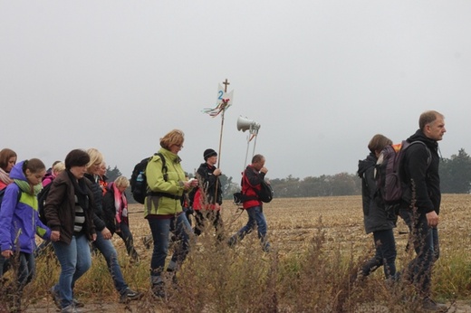 Pielgrzymka do Trzebnicy 2015 - cz. 4