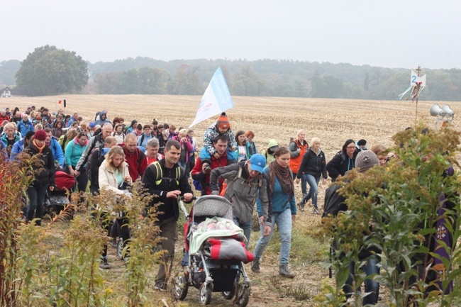 Pielgrzymka do Trzebnicy 2015 - cz. 4