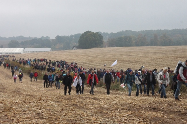 Pielgrzymka do Trzebnicy 2015 - cz. 4