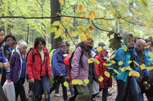 Pielgrzymka do Trzebnicy 2015 - cz. 4