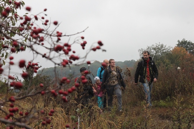 Pielgrzymka do Trzebnicy 2015 - cz. 4