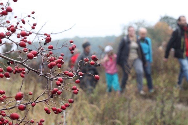 Pielgrzymka do Trzebnicy 2015 - cz. 4