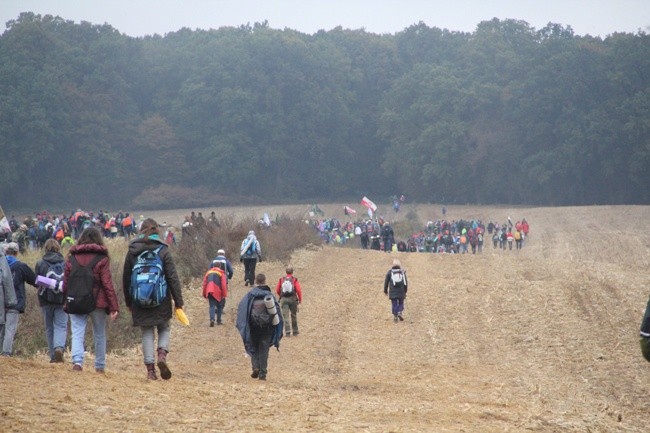 ​Pielgrzymka do Trzebnicy 2015 - cz. 5