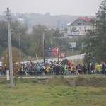 Pielgrzymka do Trzebnicy 2015 - cz. 8