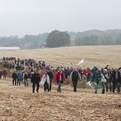 Na trzebnickich wzgórzach