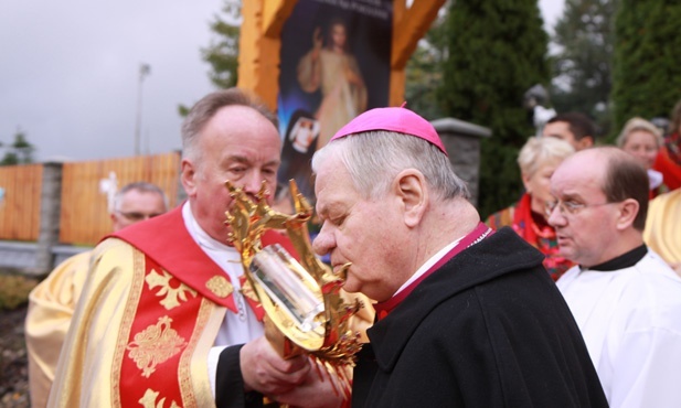 Znaki Miłosierdzia w Lalikach