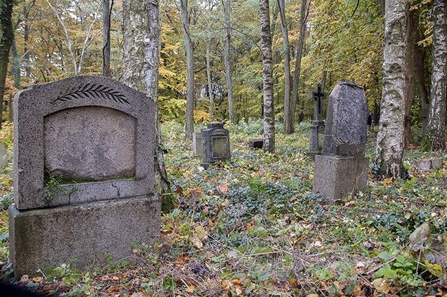 Sprzątanie cmentarza w Szczeglinie