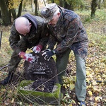 Sprzątanie cmentarza w Szczeglinie