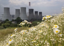 Apel biskupów przed konferencją klimatyczną 