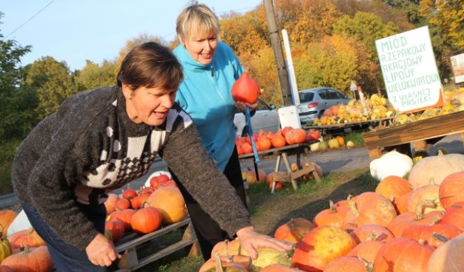 Na dynie pomysł zacny