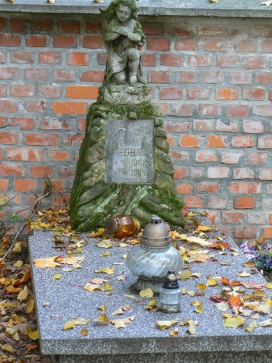 Stary Cmentarz na "Piaskach" w Miechocinie