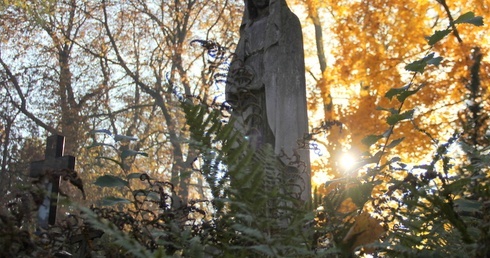 W potrzebie nie tylko Powązki