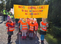 Odblaskowy Rdziostów