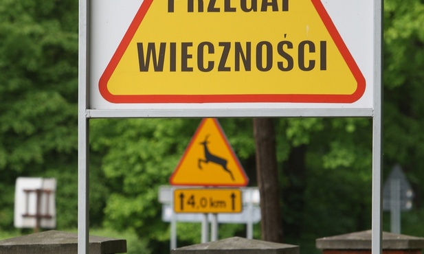 Podłączeni do sieci