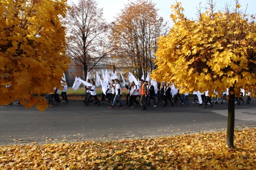 Holy Wins - Święty Zwycięża