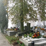 Cmentarz Salwatorski w Krakowie-2015