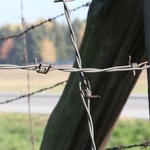 Majdanek