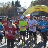 Start biegu głównego