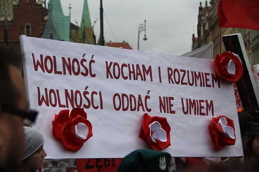 Radosna Parada Niepodległości 2015