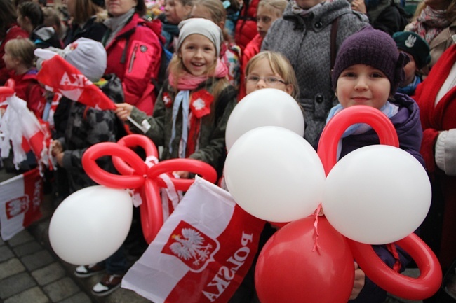 Radosna Parada Niepodległości 2015