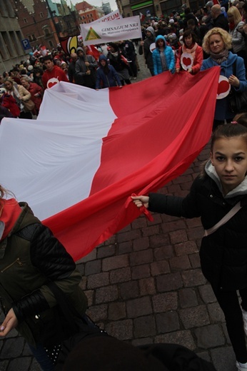 Radosna Parada Niepodległości 2015