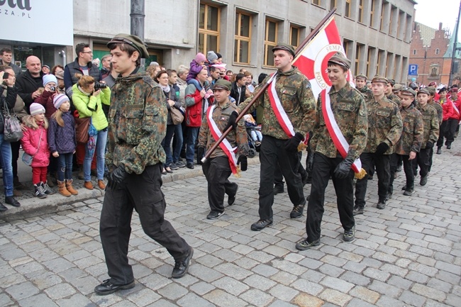 Radosna Parada Niepodległości 2015