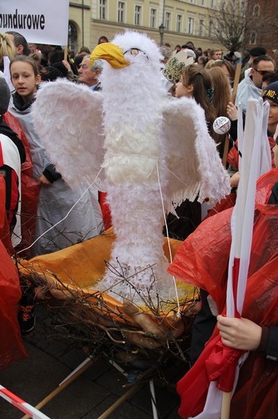 Radosna Parada Niepodległości 2015