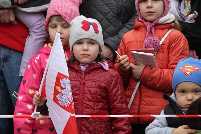 Radosna Parada Niepodległości 2015