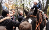 Krakowskie obchody Święta Niepodległości