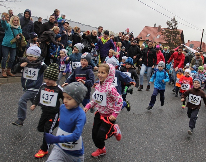 IV Bieg Gęsi w Jerzmanowej