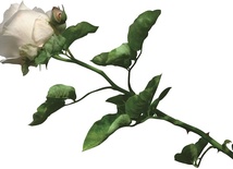 Modlitwa osieroconych