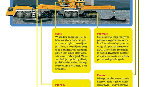 Siłacz wagi lekkiej