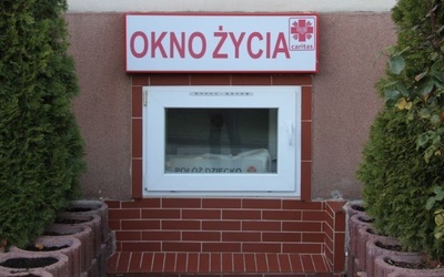 Zielonogórskie okno życia